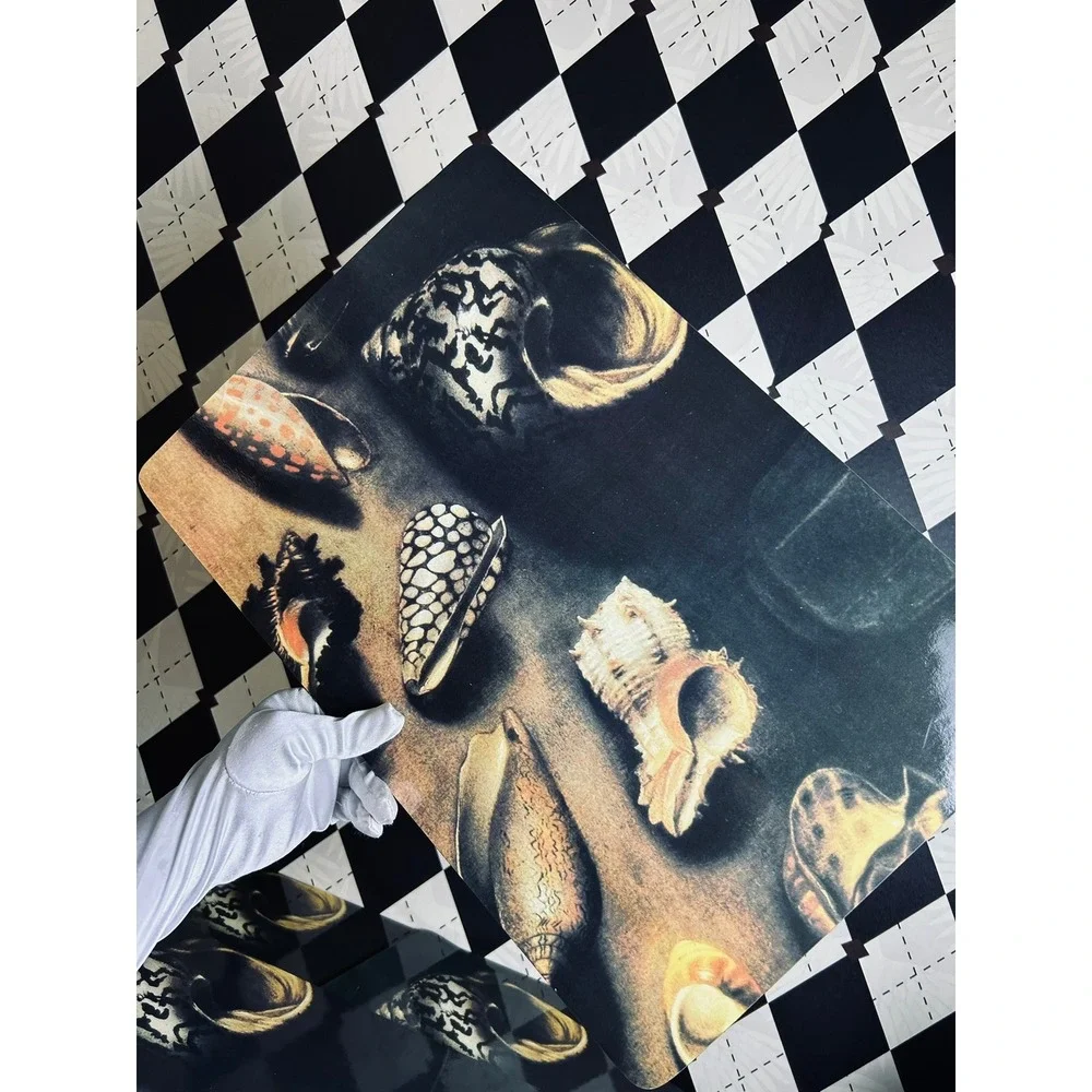 Jacques Linard Sea Shell Placemats Cork Backed Art Reproduction Set
